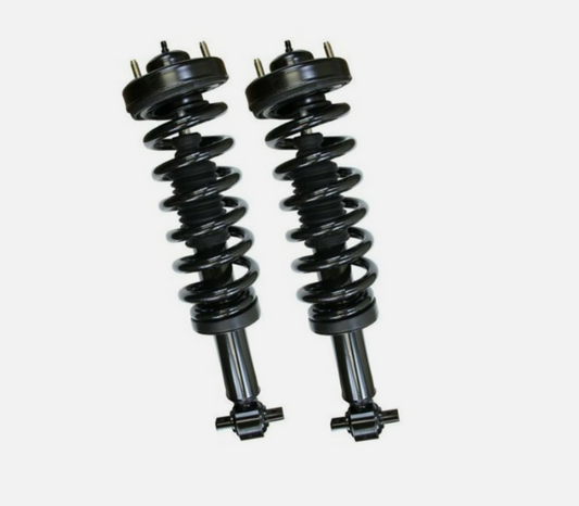 Front Pair (2) Complete Struts Assembly for 2015 - 2020 Ford F-150